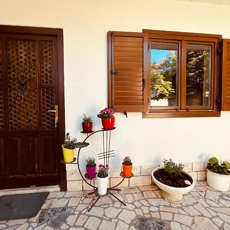 Lea Apartment Lucija Exterior photo